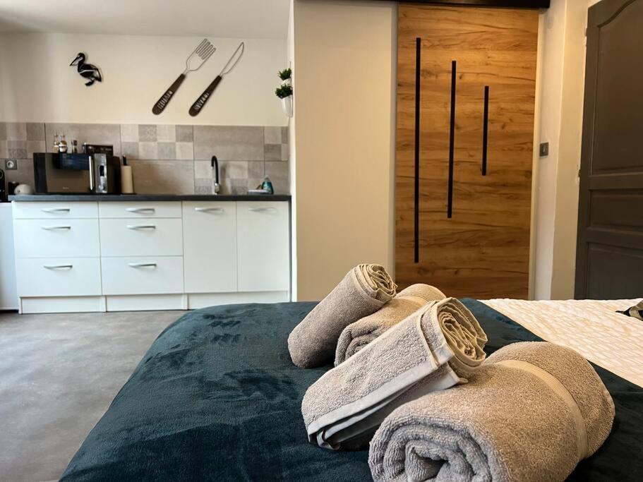 Studio Le Petit Pelican Châtenois Εξωτερικό φωτογραφία
